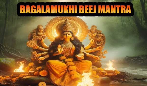 Bagalamukhi beej mantra for strong protection