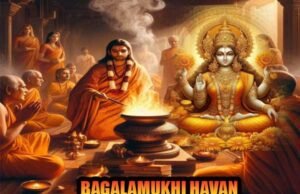 Bagalamukhi havan for all obstacles