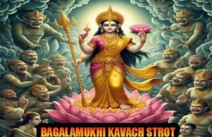 Bagalamukhi kavach strot for family peace
